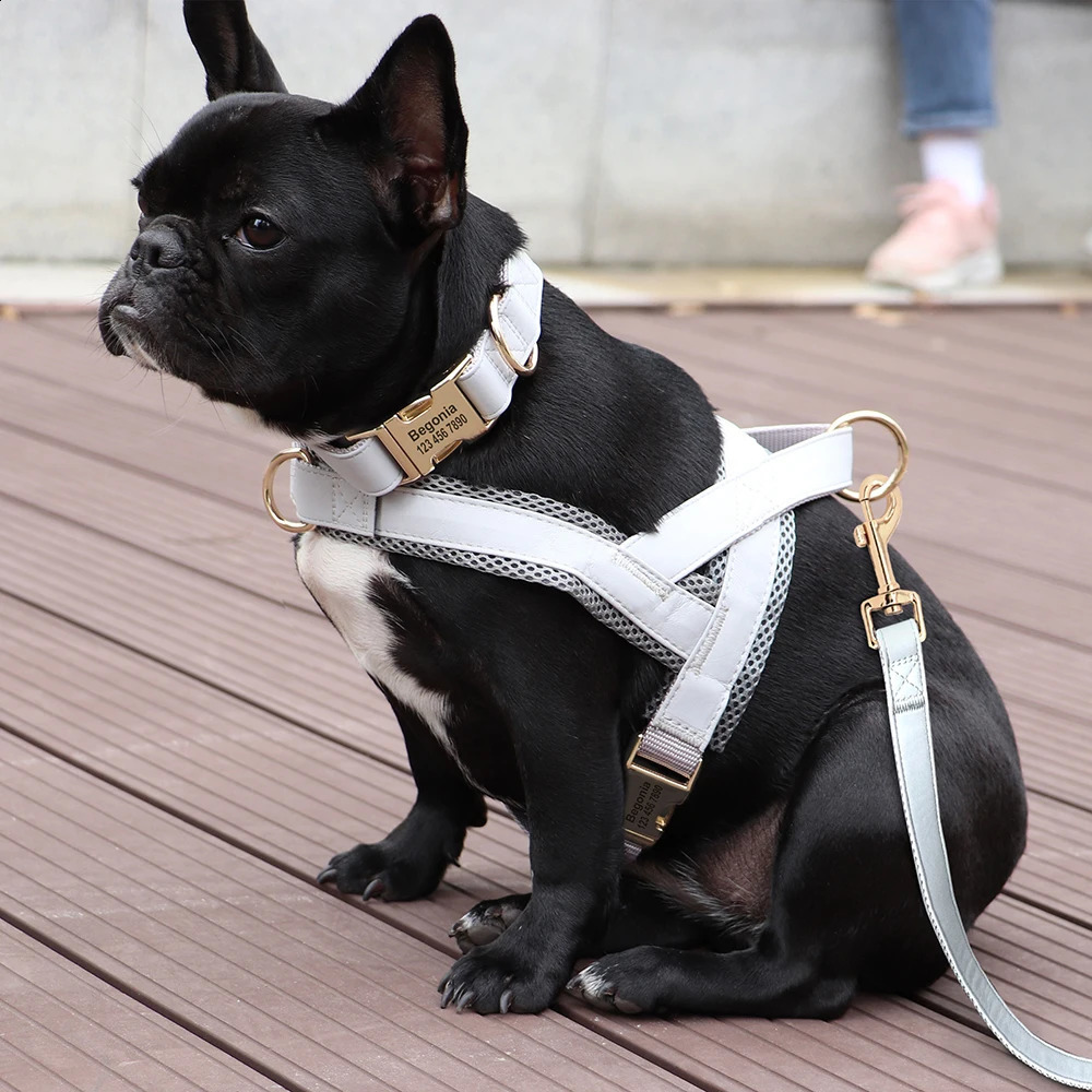 Dog Collars Leashes Personalized Leather Dog Collar Harness Leash Set Pet Mesh Vest Harness Customized ID Pet Leads For Small Medium Large Dogs 231110
