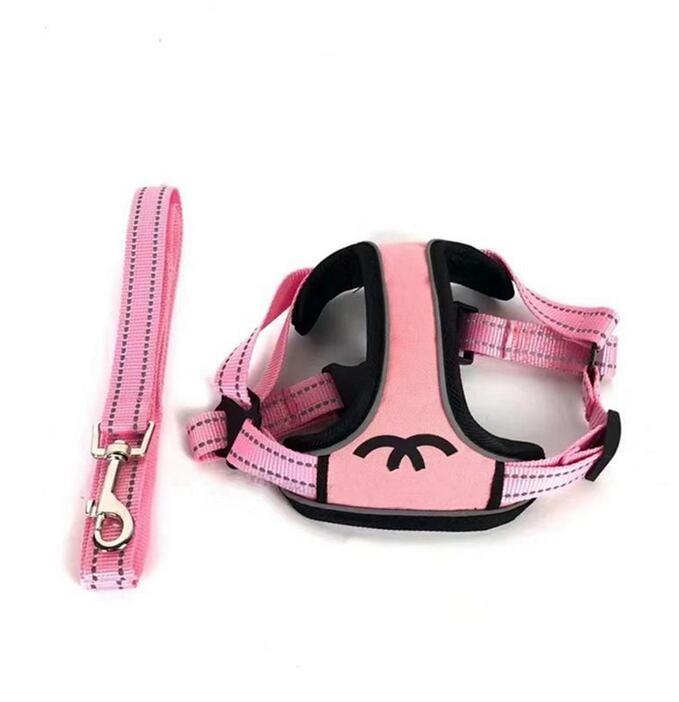 Designer Dog Harness and Leashes Set Printed Letter Pattern Dog Harnesses Soft Reflective Adjustable Vest for Small Medium Dogs Chihuahua Yorkie Poodle
Designer Dog Harness and Leashes Set Printed Letter Pattern Dog Harnesses Soft Reflective Adjustable Vest for Small Medium Dogs Chihuahua Yorkie Poodle