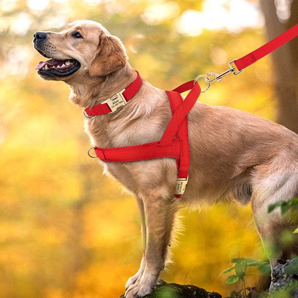 Dog Collars Leashes Personalized Leather Dog Collar Harness Leash Set Pet Mesh Vest Harness Customized ID Pet Leads For Small Medium Large Dogs 231110