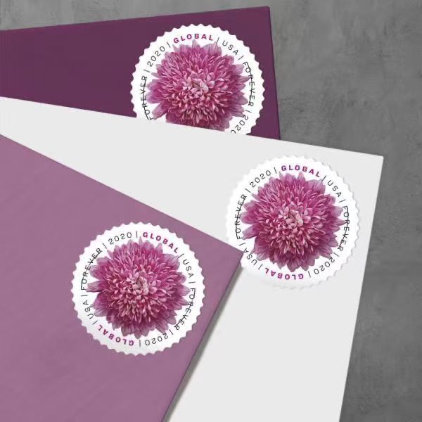 African Daisy (Sheet of 10) International Mail Global Postage Stamps Scott #5680 us first class postage stamp
African Daisy (Sheet of 10) International Mail Global Postage Stamps Scott #5680 us first class postage stamp