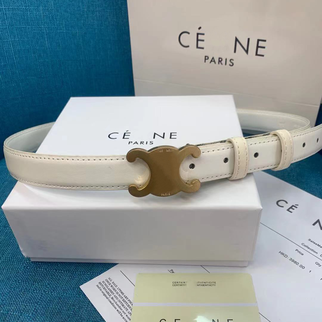 Women Designer Belt Classic Monogram Design Belt Frosted Gold Smooth Pin Buckle Belts Luxury Sewn Edge Casual Wide 2.5cm