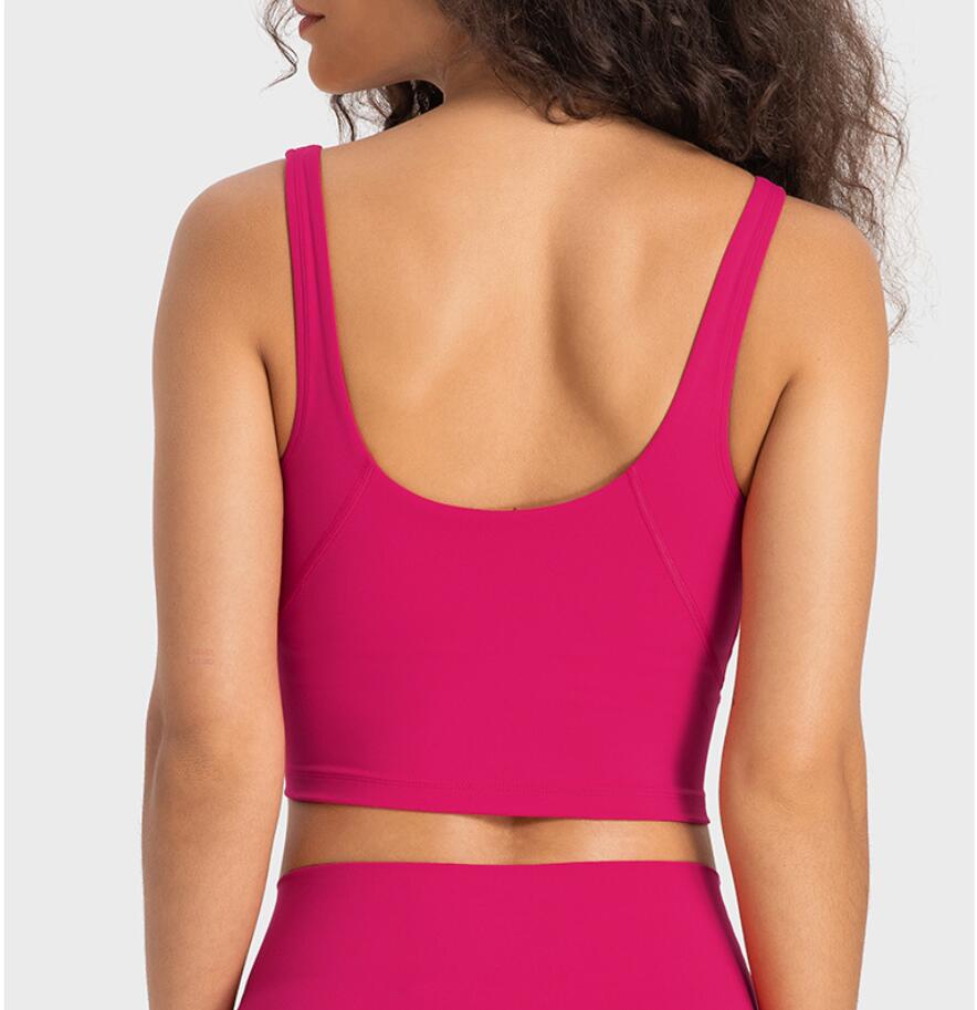 LU-254 Gym Clothes Women Yoga Outfits Underwears Align Tanks Camis Sports Bra Shockproof Fitness Workout U Back Sexy Padded Tops Vest, Blue
LU-254 Gym Clothes Women Yoga Outfits Underwears Align Tanks Camis Sports Bra Shockproof Fitness Workout U Back Sexy Padded Tops Vest, Blue