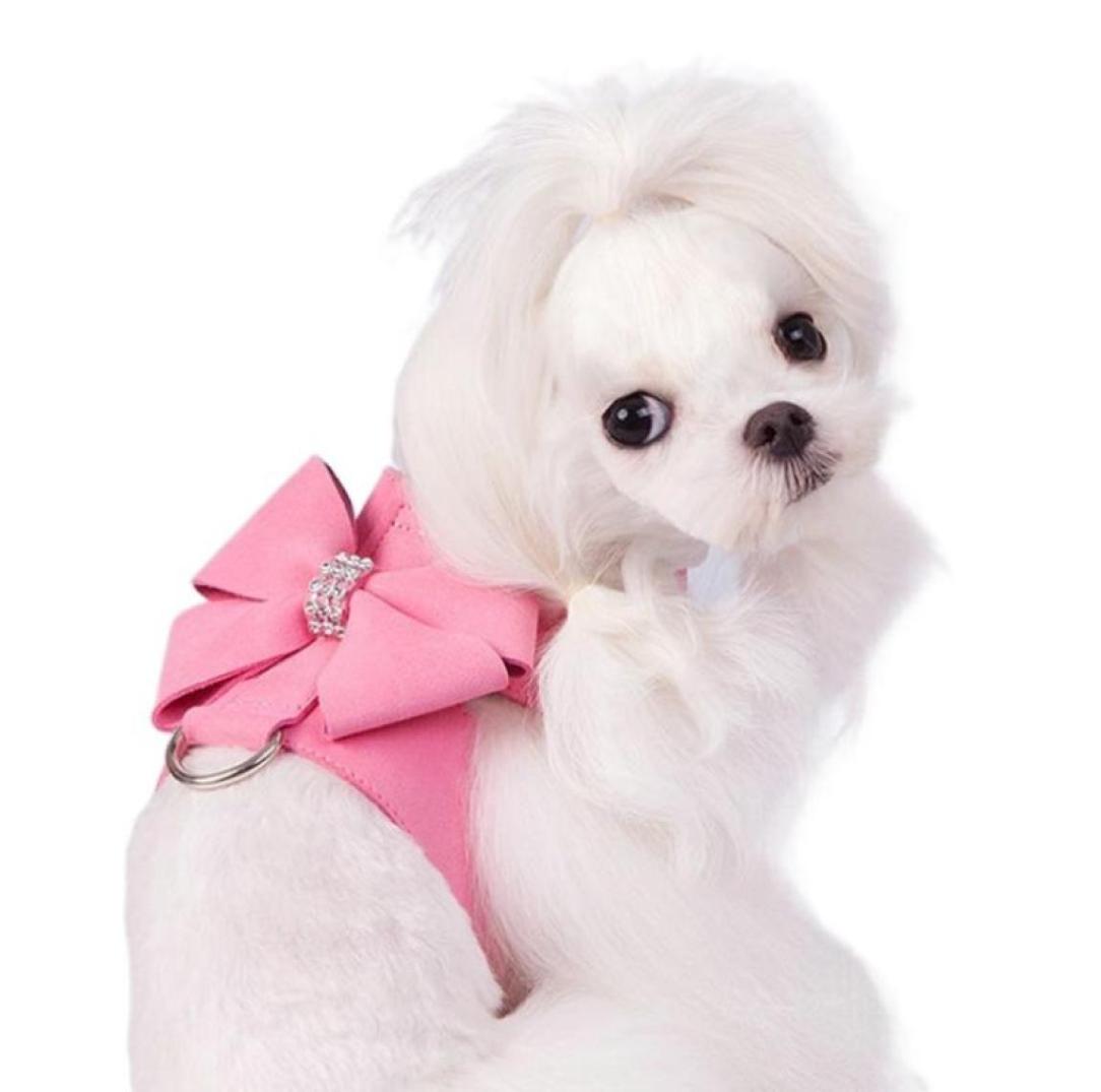Pet Veststyle Dog Chest Harness Small And Mediumsized Cat Leash Collar Set Supplies Accessories Whole Collars Leashes3346011
Pet Veststyle Dog Chest Harness Small And Mediumsized Cat Leash Collar Set Supplies Accessories Whole Collars Leashes3346011