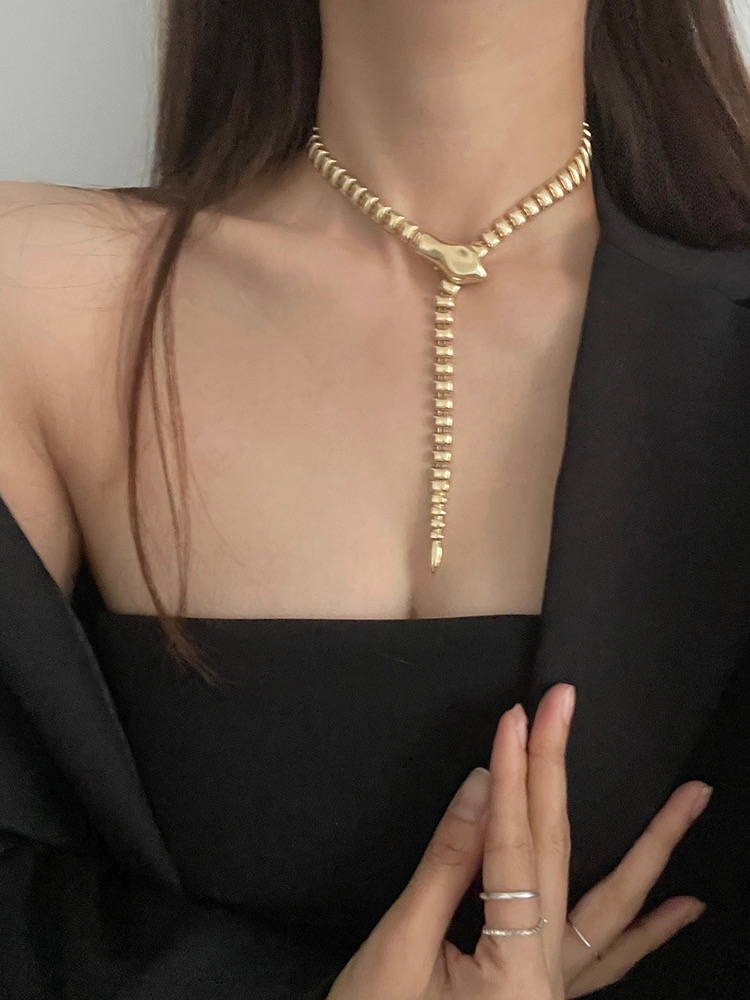 Fashion Long Serpentine Exaggeration Girl Women Necklace For Jewelry Birthday Gift Part Accessories Pendant
Fashion Long Serpentine Exaggeration Girl Women Necklace For Jewelry Birthday Gift Part Accessories Pendant