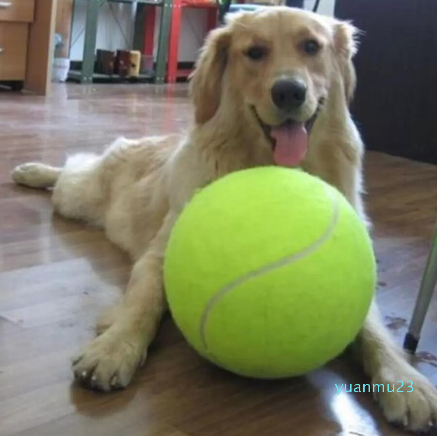 Wholesale- NEW arrival 2016 NEW arrival New Pet Dog Tennis Ball Petsport Thrower Chucker Launcher Play Toy 11
Wholesale- NEW arrival 2016 NEW arrival New Pet Dog Tennis Ball Petsport Thrower Chucker Launcher Play Toy 11