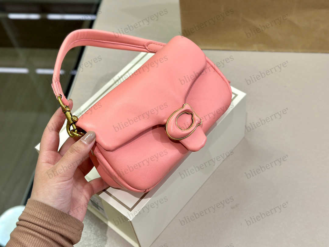 Woman Pillow Tabby Bags Sheepskin Designer Bags Luxury Shading Cloud Handbag Soft Pleated Purse Wallets Fashion Shoulder Bag Lady 20243 Top Bag 412W3
Woman Pillow Tabby Bags Sheepskin Designer Bags Luxury Shading Cloud Handbag Soft Pleated Purse Wallets Fashion Shoulder Bag Lady 20243 Top Bag 412W3