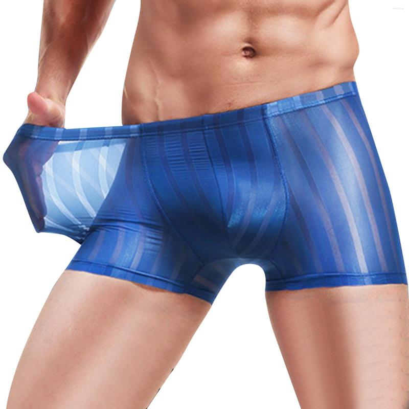 Underpants Stripe Mesh Boxers Men Boxer Shorts Underwear Breathable Homme Ice Silk Boxershorts Panties Sexy, Blue
Underpants Stripe Mesh Boxers Men Boxer Shorts Underwear Breathable Homme Ice Silk Boxershorts Panties Sexy, Blue