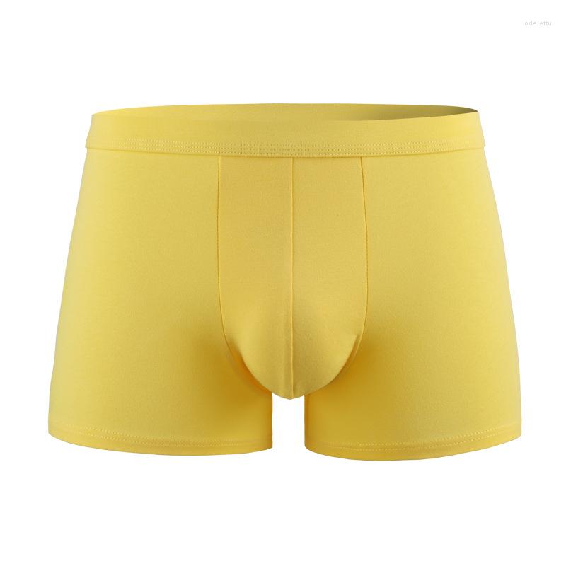 Underpants Man Boxers Underwear Seamless Cotton Soft Comfortable Men's Breathable Panties Mid Waist Solid Sexy Male Boxer Shorts, B white
Underpants Man Boxers Underwear Seamless Cotton Soft Comfortable Men's Breathable Panties Mid Waist Solid Sexy Male Boxer Shorts, B white