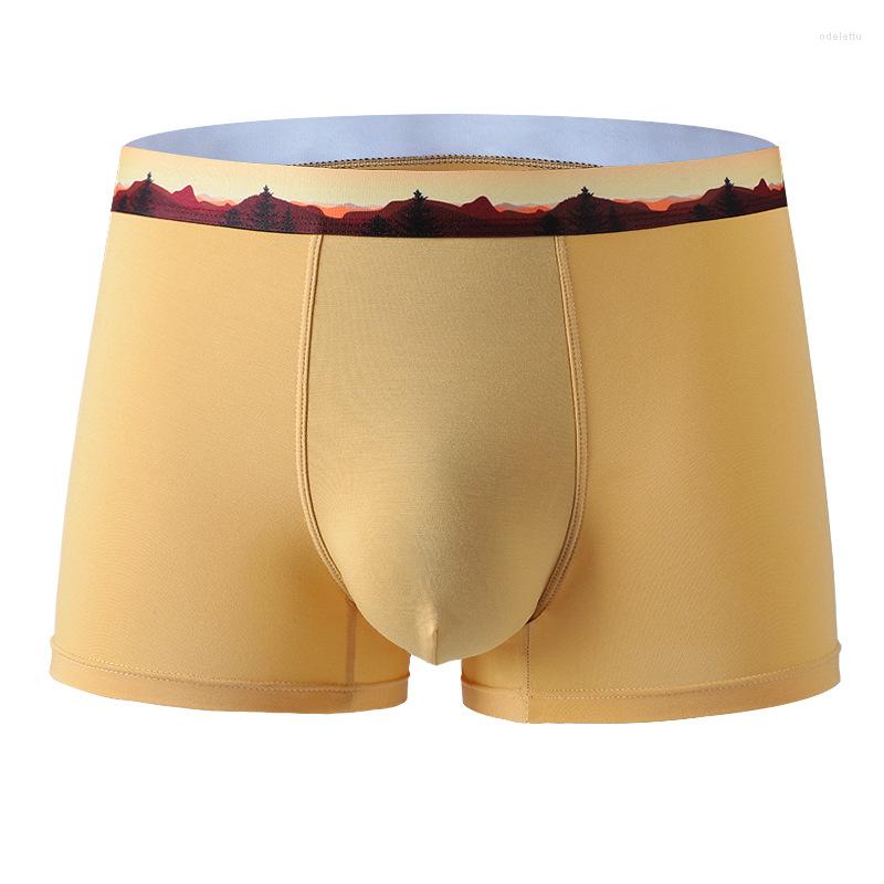 Underpants Plus Size Man Boxer Underwear Seamless Cotton Comfortable Men's Breathable Panties Fashion Sexy Male Shorts 5XL
Underpants Plus Size Man Boxer Underwear Seamless Cotton Comfortable Men's Breathable Panties Fashion Sexy Male Shorts 5XL