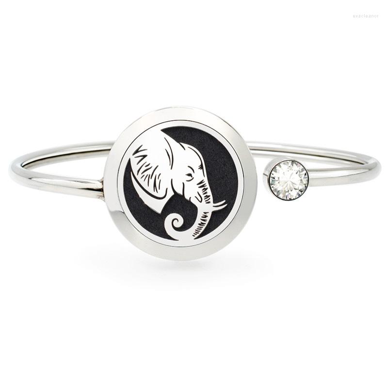 Bangle 2pcs/set Elephant Stainless Steel Frog Dinosaur Essential Oil Diffuser Locket Bracelet Bangles With 10pcs Free Pads
Bangle 2pcs/set Elephant Stainless Steel Frog Dinosaur Essential Oil Diffuser Locket Bracelet Bangles With 10pcs Free Pads