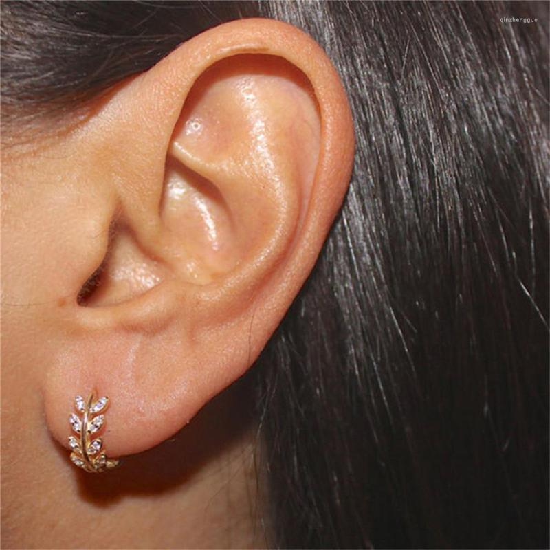 Backs Earrings Stylish Women Leaf Crystal Hoops Stud Dangle Rhinestone Ear Studs Trendy Jewelry Decoration Gift
Backs Earrings Stylish Women Leaf Crystal Hoops Stud Dangle Rhinestone Ear Studs Trendy Jewelry Decoration Gift