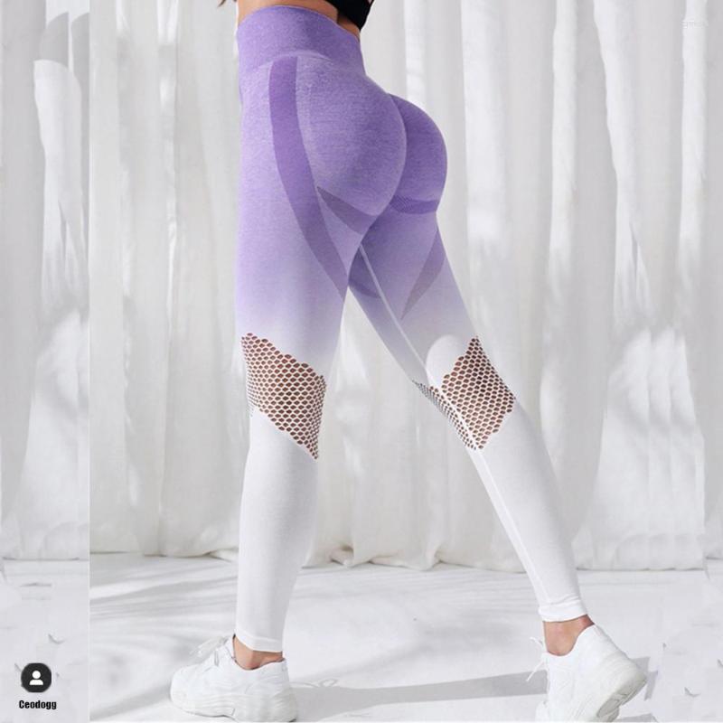 Active Pants 2023 Gradients Seamless High Waist Yoga Scrunch Gym Leggings Sport Women Fitness BuLigting Legging Ribbed Booty Tights, Iris purple
Active Pants 2023 Gradients Seamless High Waist Yoga Scrunch Gym Leggings Sport Women Fitness BuLigting Legging Ribbed Booty Tights, Iris purple