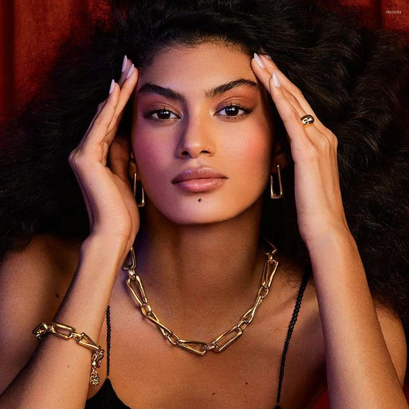 Choker Fashion Big Necklace For Women Men Twist Gold Color Silver Plated Chunky Thick Lock Chain Necklaces Party Jewelry Gifts
Choker Fashion Big Necklace For Women Men Twist Gold Color Silver Plated Chunky Thick Lock Chain Necklaces Party Jewelry Gifts