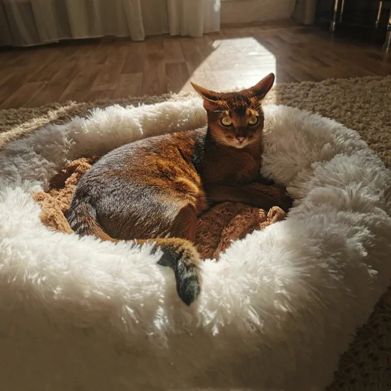 kennels pens Super Soft Dog Bed Plush Cat Mat Dog Beds For Large Dogs Bed Labradors House Round Cushion Pet Product Accessories 231114