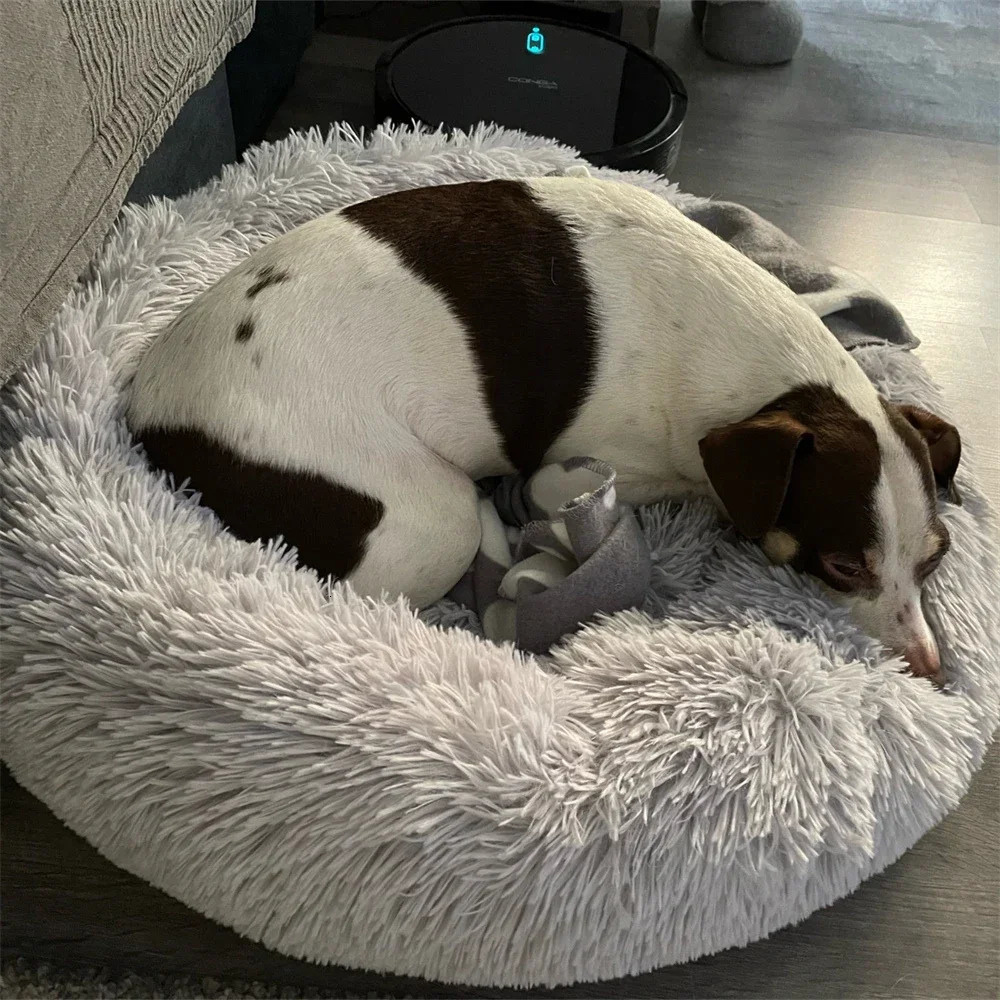 kennels pens Super Soft Dog Bed Plush Cat Mat Dog Beds For Large Dogs Bed Labradors House Round Cushion Pet Product Accessories 231114