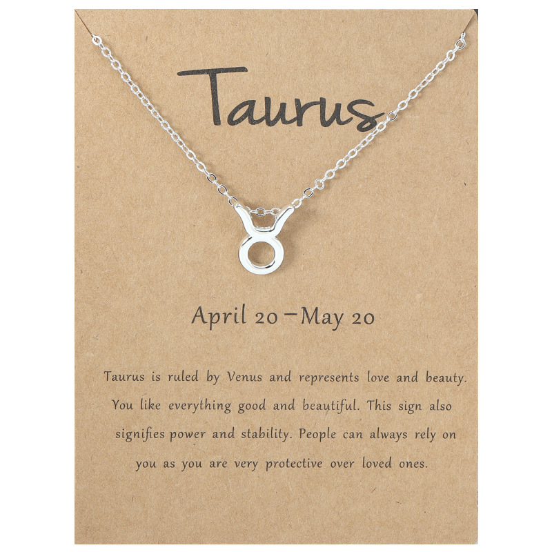 S925 Silver Plated 12 Constellation Necklace Zodiac Symbol Necklace Horoscope Necklaces with Wish Card Aries,Leo,Libra Jewelry Wholesale