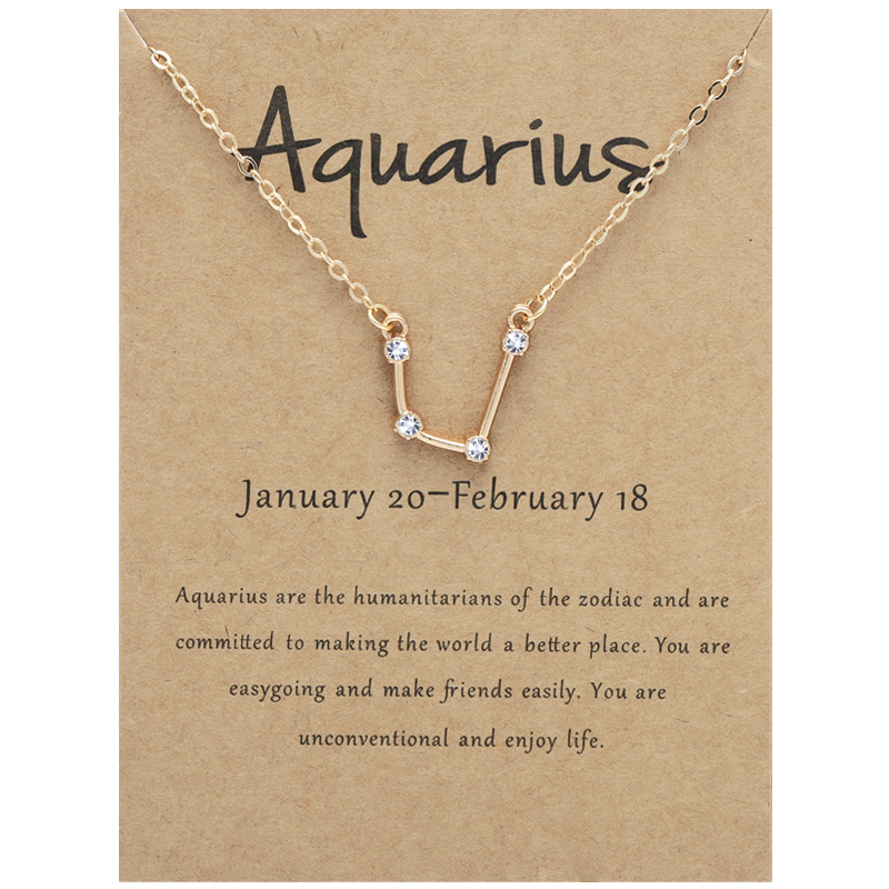 12 Constellation Horoscope Astrology Zodiac Necklace for Women Crystal Pendent Necklaces Cubic Zirconia Stones Necklace Nice Jewelry Gift with Wish Ca