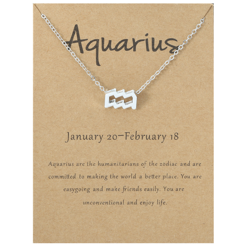 S925 Silver Plated 12 Constellation Necklace Zodiac Symbol Necklace Horoscope Necklaces with Wish Card Aries,Leo,Libra Jewelry Wholesale