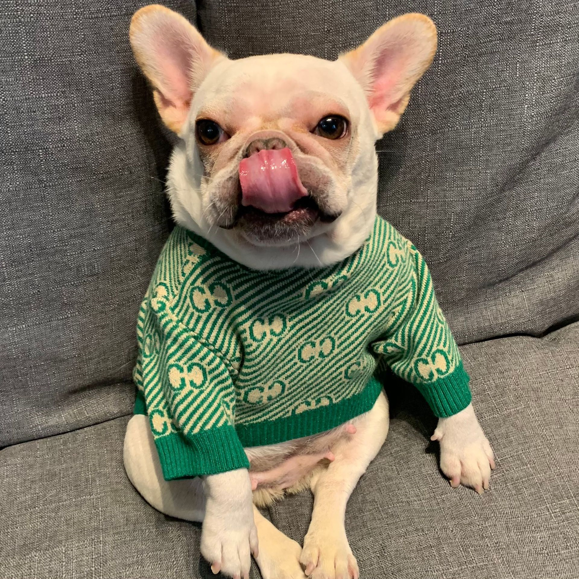 Designer Dog Clothes Classic Letter Pattern Puppy Cat Sweater Warm Pet Sweaters Luxury Pets Coat Sweatshirts for French Bulldog Schnauzer Poodle Chihuahua S A357