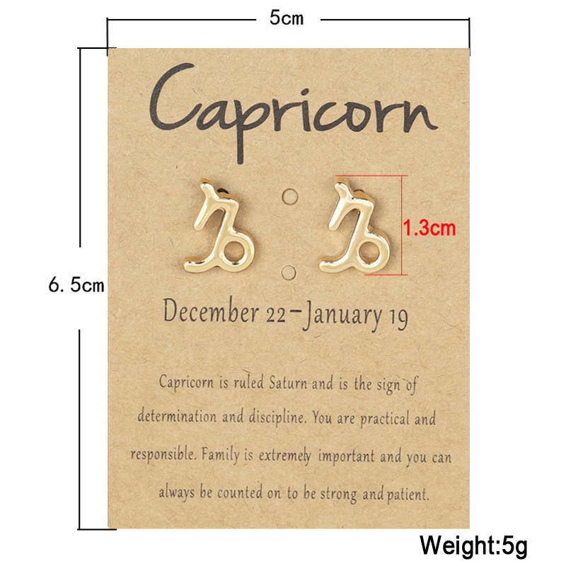 12 Constellation Stud Earrings 18K Gold Plated Zodiac Earrings for Women Horoscope Symbol Earring with Wish Card Aries ,Cancer,Libra,Taurus,Pisces Wom
