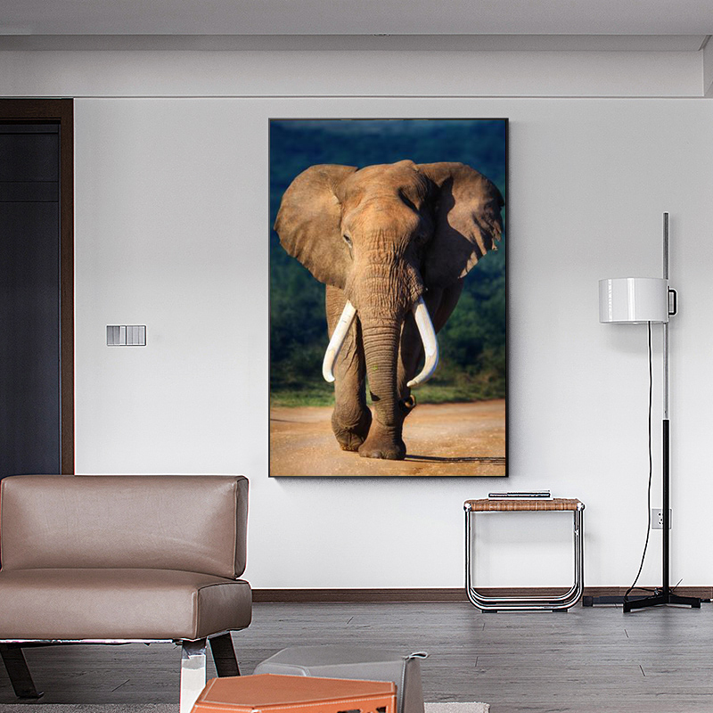 Moderne Wilde Afrikaanse Olifant Posters en Prints Muur Art Canvas Schilderij Dieren Foto 'S voor Woonkamer Cuadros Decor No Frame
Moderne Wilde Afrikaanse Olifant Posters en Prints Muur Art Canvas Schilderij Dieren Foto 'S voor Woonkamer Cuadros Decor No Frame