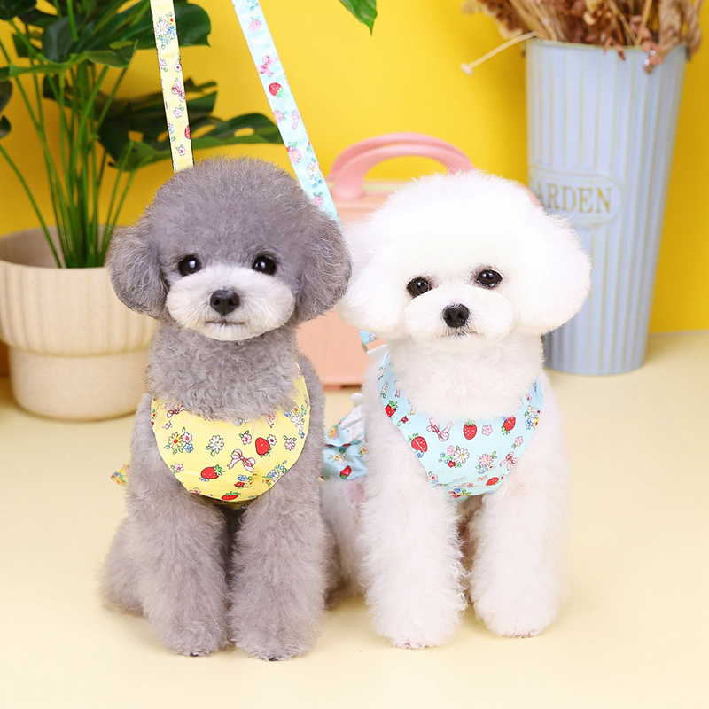Small Apparel No Pull Dog Harness Dress Leash Set Puppy Girls Vest Harnesses Angel Wing Cute wers Strawberry Printed Princess Dresses with D Ring S A6