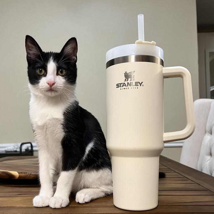 DHL Stanley Quencher H2.0 40oz Stainless Steel Tumblers Cups With Silicone Handle Lid and Straw Big Capacity Car Mugs Vacuum Insulated Water Bottles 5756
DHL Stanley Quencher H2.0 40oz Stainless Steel Tumblers Cups With Silicone Handle Lid and Straw Big Capacity Car Mugs Vacuum Insulated Water Bottles 5756