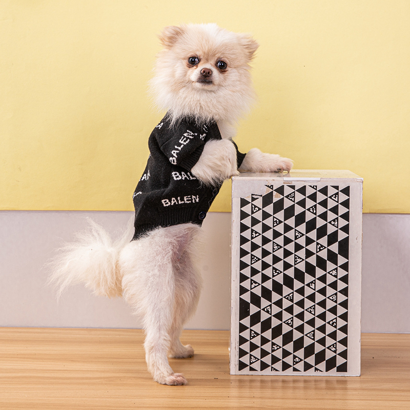 2025 new Winter Apparel Designer Dog Clothes with Jacquard Letter Pattern Soft Dogs Sweater Classic Pet Casual Wear Clothing Fashion Cardiga