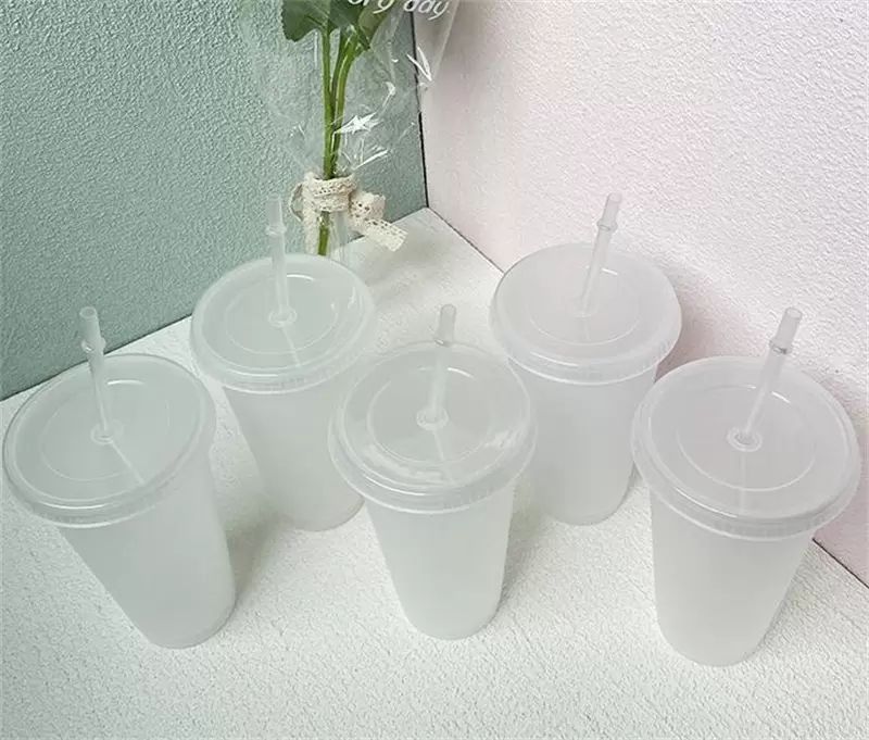 24oz Clear Cup Plastic Transparent Tumbler Summer Reusable Cold Drinking Coffee Juice Mug with Lid and Straw FY5305