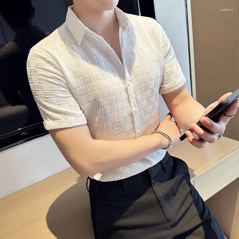 Men's T Shirts 2023 Korean Style Men's Summer Casual Short-sleeved Shirts/Male Slim Fit Pure Color Plaid High Quality Plus Size S-4XL, White
Men's T Shirts 2023 Korean Style Men's Summer Casual Short-sleeved Shirts/Male Slim Fit Pure Color Plaid High Quality Plus Size S-4XL, White