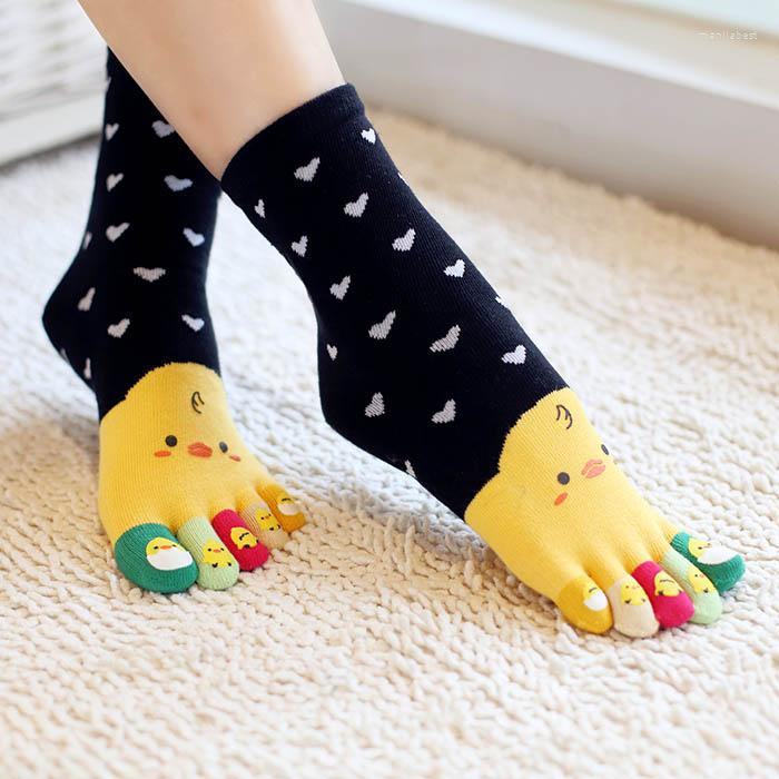 Women Socks 3 Pairs Five Finger Lovely Lady Cartoon Pure Cotton Comfortable Quality 5 Toe Japan With Separate Toes Ladies, Beige
Women Socks 3 Pairs Five Finger Lovely Lady Cartoon Pure Cotton Comfortable Quality 5 Toe Japan With Separate Toes Ladies, Beige