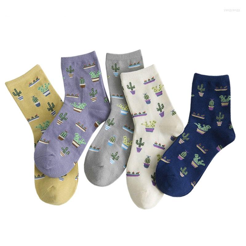 Women Socks 1 Pair Cartoon Plant Cactus Pattern Funny Girls Soft Breathable Cute Cotton Casual Sokken Warm Short, Purple
Women Socks 1 Pair Cartoon Plant Cactus Pattern Funny Girls Soft Breathable Cute Cotton Casual Sokken Warm Short, Purple