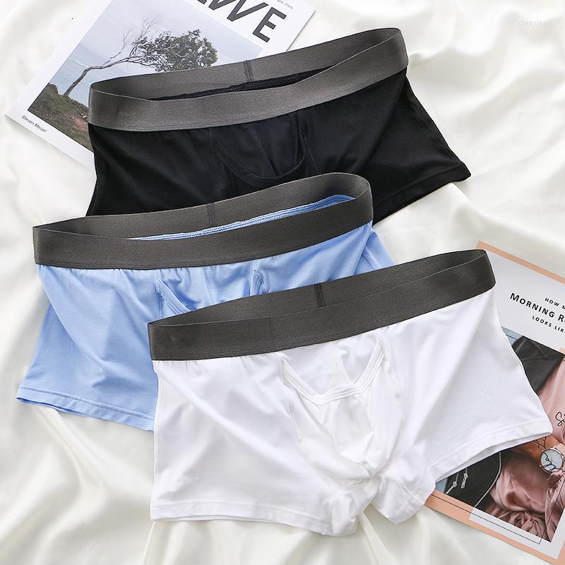 Underpants CLEVER-MENMODE 3x Boxers Sexy Underwear Long Penis Pouch Men Elephant Nose Elastic Panties Boxershorts Trunks, Blue green pink
Underpants CLEVER-MENMODE 3x Boxers Sexy Underwear Long Penis Pouch Men Elephant Nose Elastic Panties Boxershorts Trunks, Blue green pink