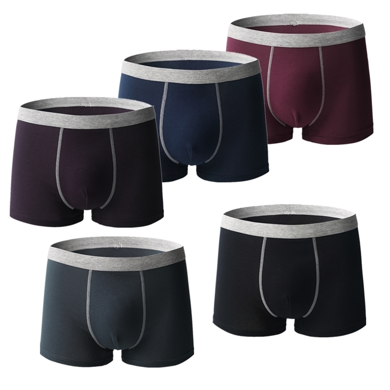 Underpants 5 Pcs Large Size Boxer Briefs Shorts Undies Men Underwear Undershorts Panties Bigger Cotton Boy Antibacterial Fabric Underpants 230420, 8864 black
Underpants 5 Pcs Large Size Boxer Briefs Shorts Undies Men Underwear Undershorts Panties Bigger Cotton Boy Antibacterial Fabric Underpants 230420, 8864 black