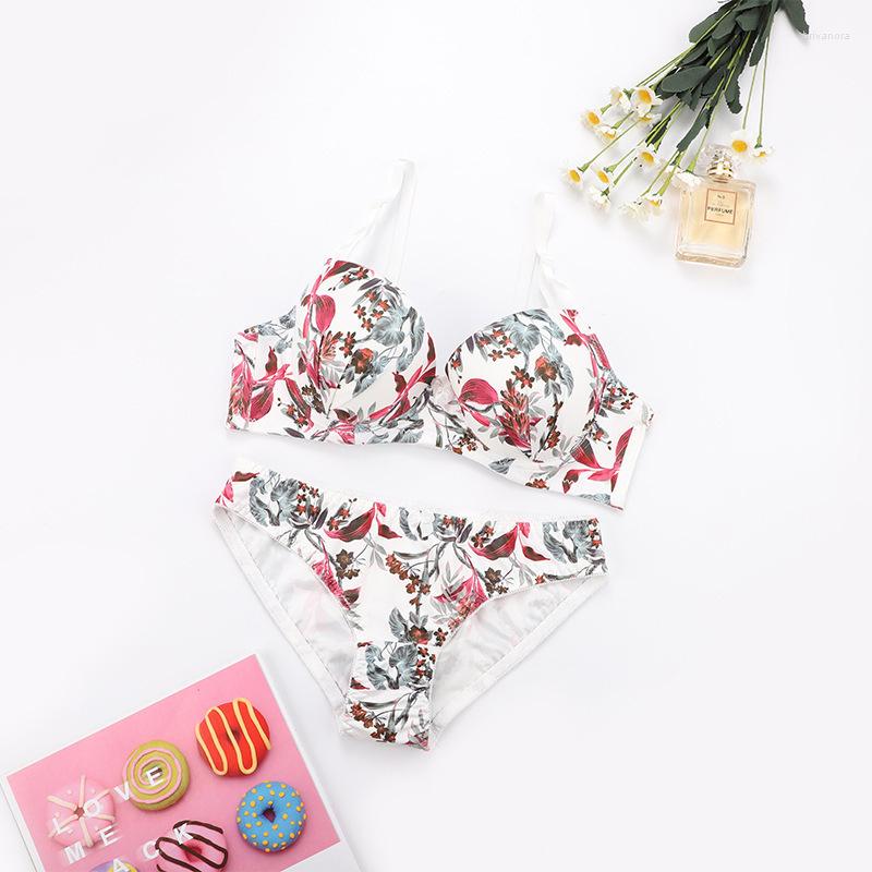 Bras Sets Women Underwear Panties Print Underwire Push Up Female Lingerie Ladies Bralette Briefs Suit Woman BANNIROU, Pink
Bras Sets Women Underwear Panties Print Underwire Push Up Female Lingerie Ladies Bralette Briefs Suit Woman BANNIROU, Pink