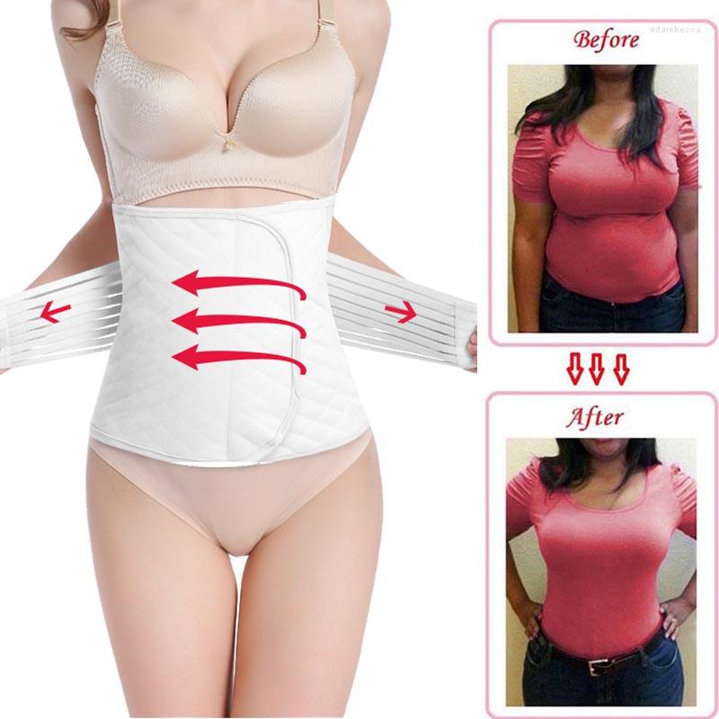 Women' Shapers Waist Trainer Belt Corsets Steel Boned Body Shaper Women Postpartum Band Sexy Bustiers Modeling Strap, Pink
Women' Shapers Waist Trainer Belt Corsets Steel Boned Body Shaper Women Postpartum Band Sexy Bustiers Modeling Strap, Pink