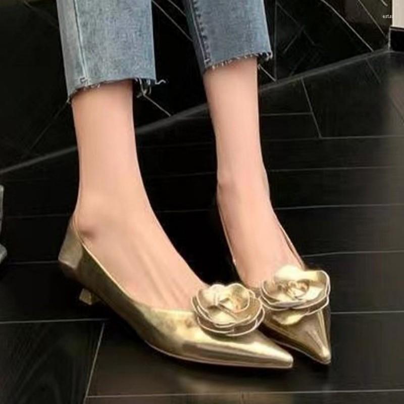 Sandals Pointed Toe Flower Fashion Women Low Heels Shoes Trend Designer Dress Shallow Casual Boat 2023 Summer, Gold
Sandals Pointed Toe Flower Fashion Women Low Heels Shoes Trend Designer Dress Shallow Casual Boat 2023 Summer, Gold