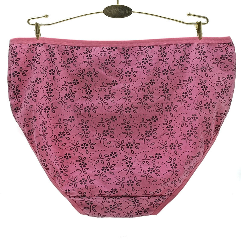 Women's Panties 6 Pieces/Lot Cotton Underwear Women Panties Plus Size Briefs High Waiste Knickers Female Underpants Woman Intimate 2XL 3XL 4XL 23