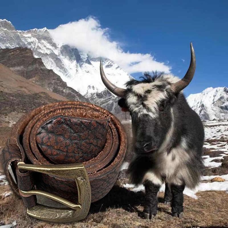 Belts Retro rare yak skin Leather belt Strong thick waistband Handcrafted for durability 230419, Black
Belts Retro rare yak skin Leather belt Strong thick waistband Handcrafted for durability 230419, Black