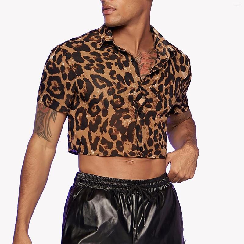 Men's Casual Shirts Men's Loose Sexy Leopard Print Short Sleeve Shirt Top For Large Men, Gold
Men's Casual Shirts Men's Loose Sexy Leopard Print Short Sleeve Shirt Top For Large Men, Gold