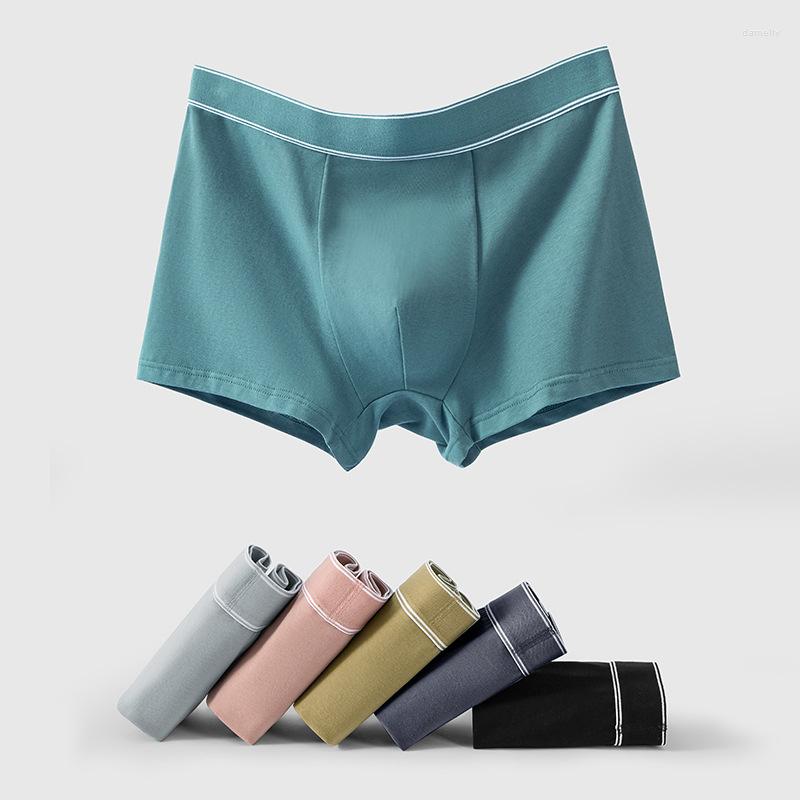 Underpants Men Convex Pouch Panties Pure Cotton Boxer Shorts Male Mid Waist Breathable 5A Bacteriostatic Underwear Elastic Lingerie For, Dark grey
Underpants Men Convex Pouch Panties Pure Cotton Boxer Shorts Male Mid Waist Breathable 5A Bacteriostatic Underwear Elastic Lingerie For, Dark grey