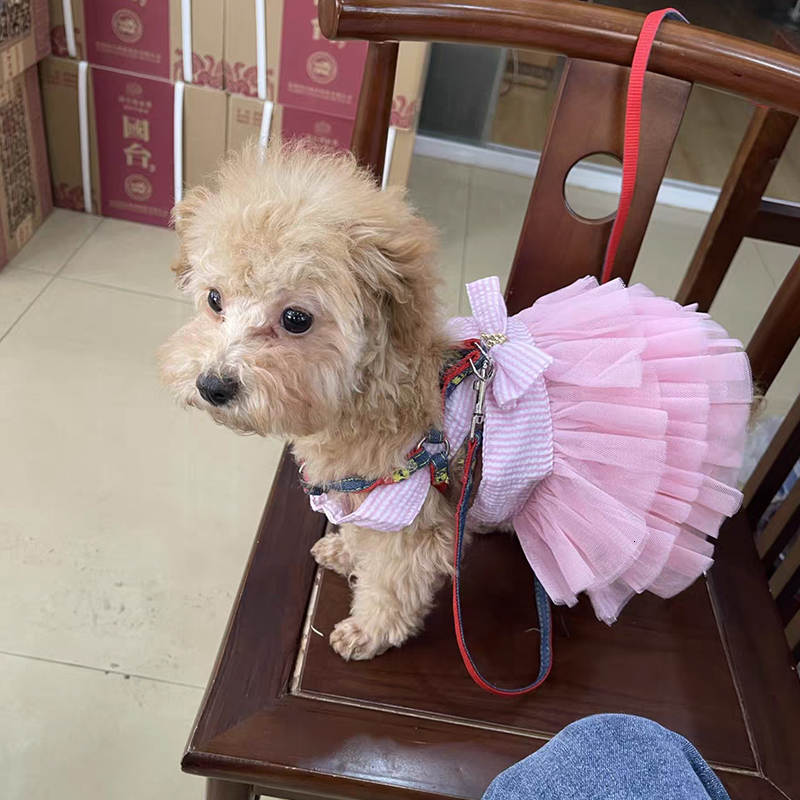 Dog Apparel Summer Dress Cat Lace Skirt Pet Clothing Chihuahua Stripe Puppy Princess Cute Clothe Accessories 230422