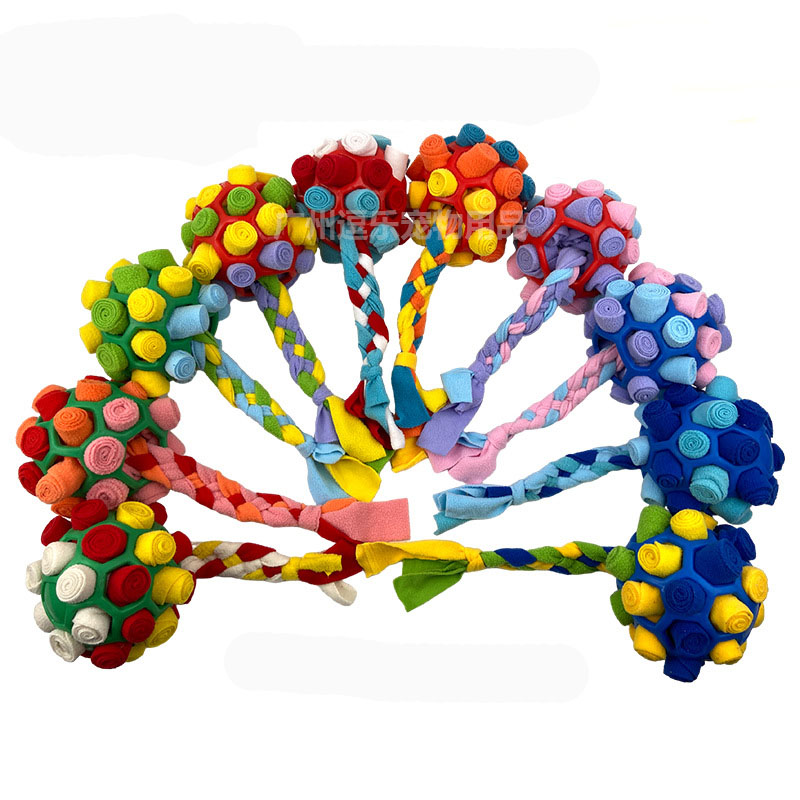 Pet toy braid ball teeth grinding dog toy ball hollow hide food ball