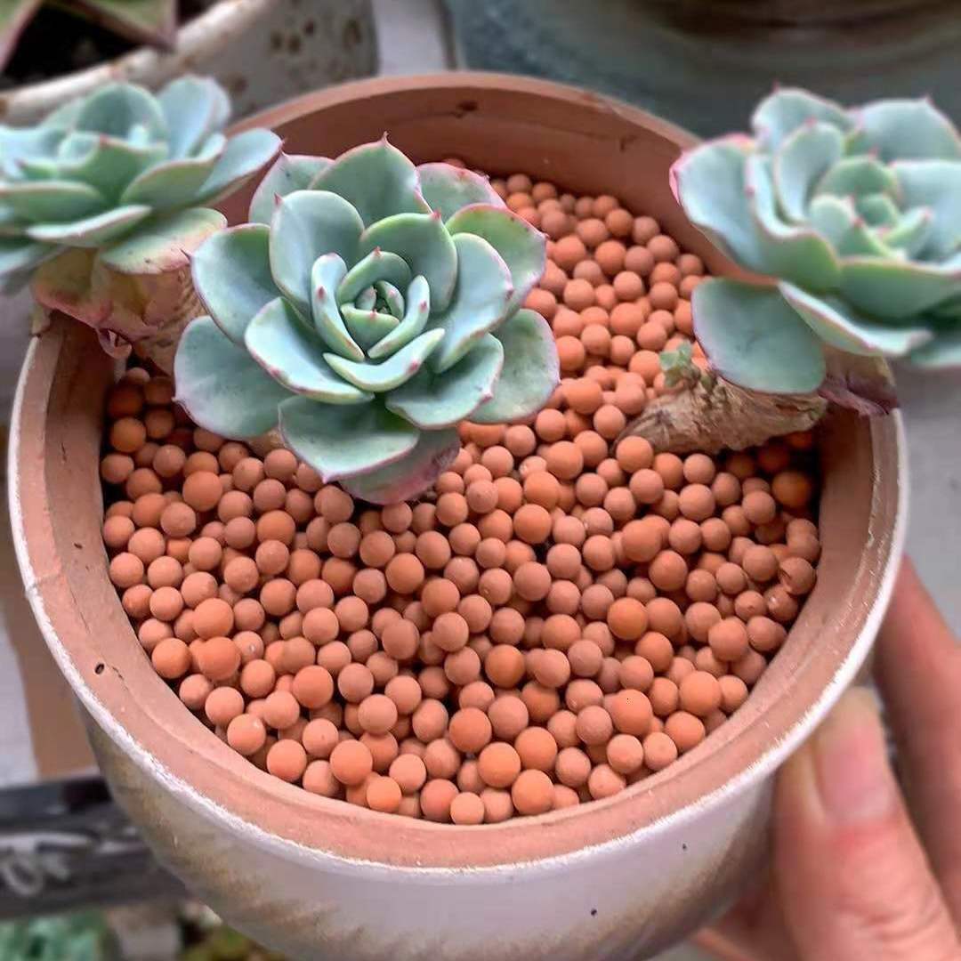 Garden Decorations 500g Organic Light Large Ceramsite Clay Pebbles Grow Media Orchids Hydroponics Aquaculture Flowers Planting 230422