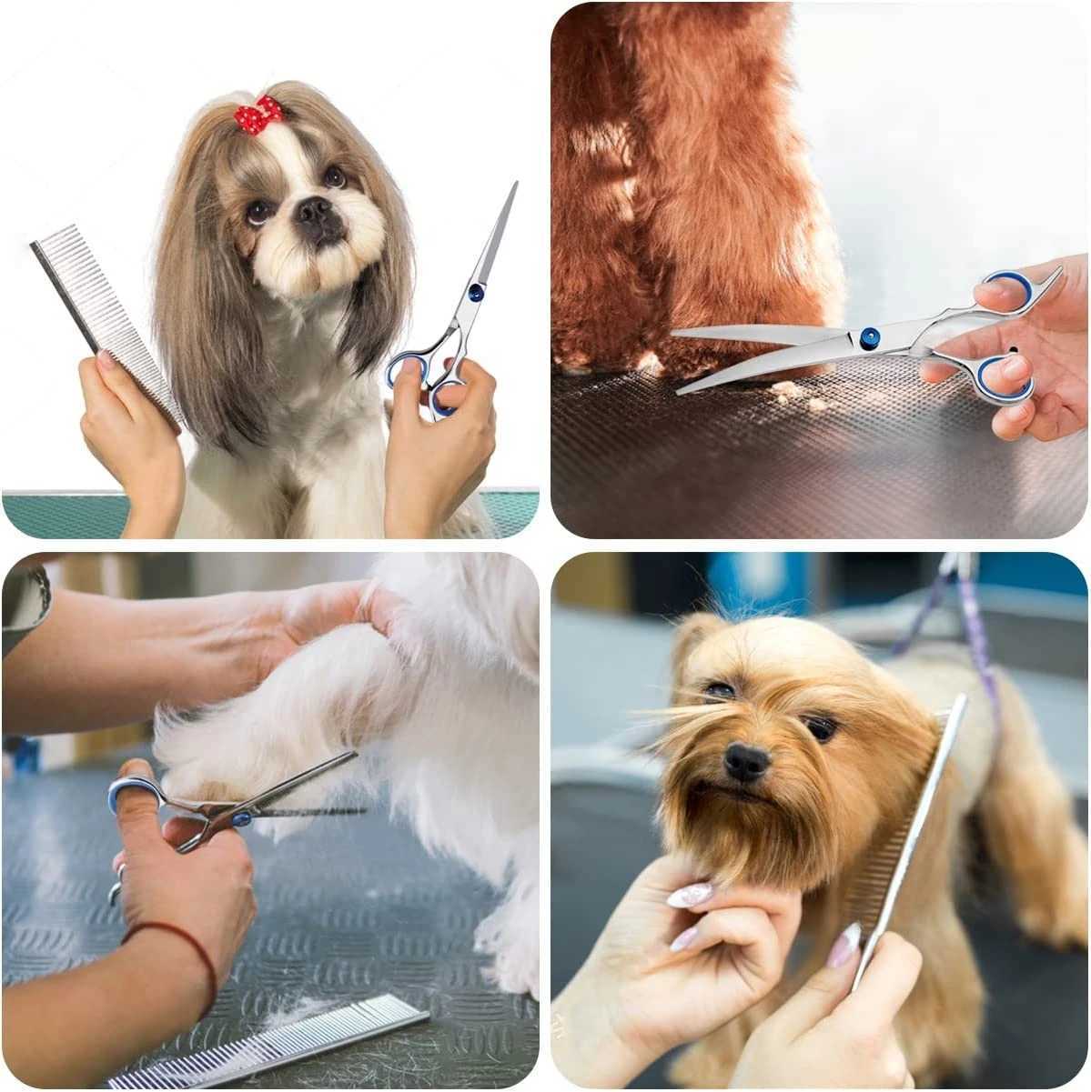 New 5pcs/Set Stainless Steel Pet Grooming Suit Hairdresser Scissors For Dogs Professional Animal Barber Cutting Tools