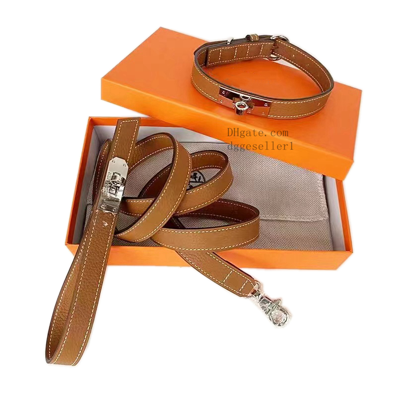 Designer Dog Collars Leashes Set Classic Luxury Padded Cowhide Dogs Collar with Adjustable Rust-Proof Metal Buckle for Small Dogs Brown M B161