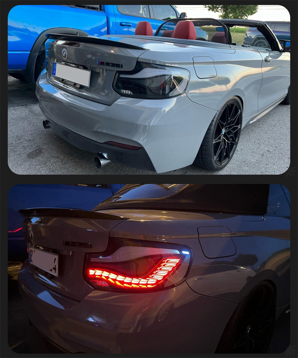 Taillight For 2-Series F22 F23 F87 M2 GTS OLED Style Tail LightsF44 F45 F46 LED Turn Signal Animation Parking Lights