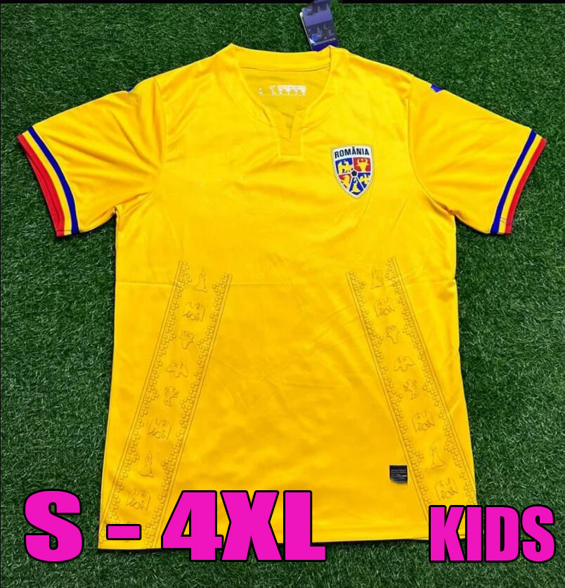 man kids Romania Soccer Jerseys kits 2023 2024 Men football team Dennis Man Denis Octavian Popescu Alexandru Dobre Florin Tanase Burca Shirts 3XL 4XL
man kids Romania Soccer Jerseys kits 2023 2024 Men football team Dennis Man Denis Octavian Popescu Alexandru Dobre Florin Tanase Burca Shirts 3XL 4XL