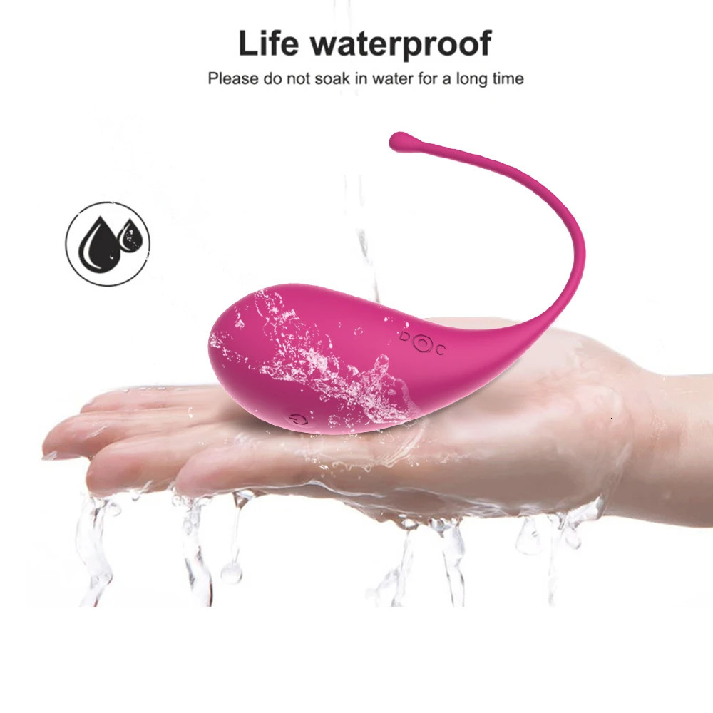 EggsBullets Sex toy vibrator Womens wireless application Remote control Underwear vibrating for lovers sex shop 231124
