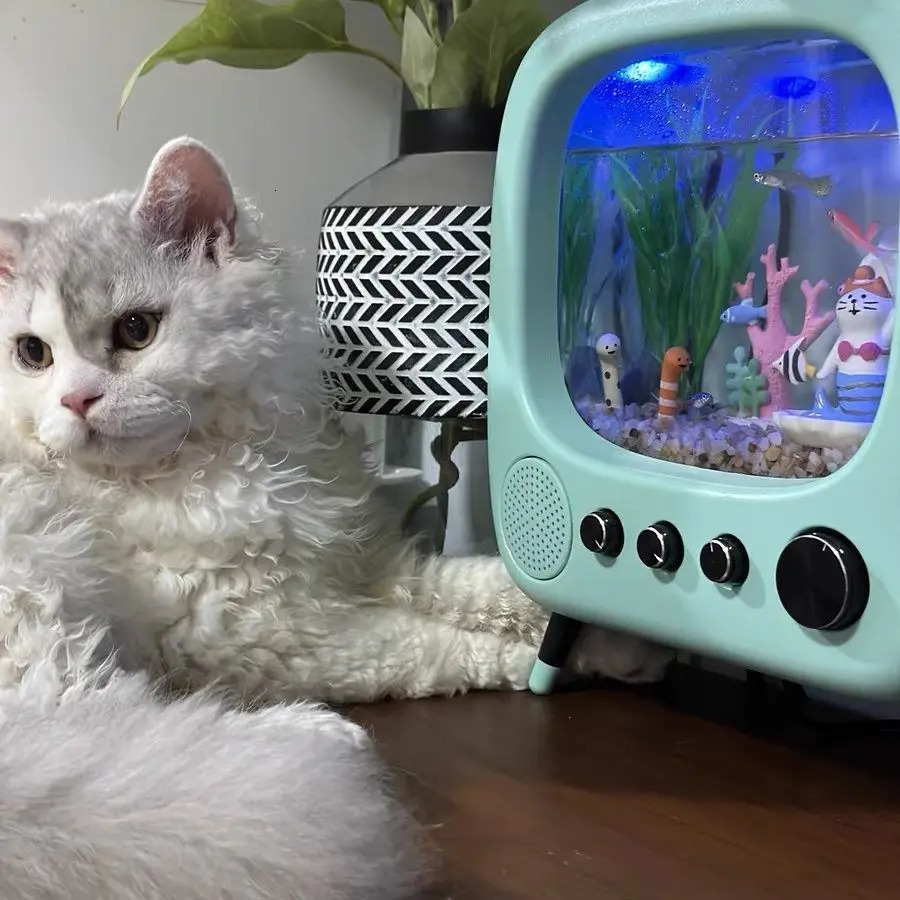 Aquariums Vintage fish tank TV desktop small oxygen children kitten net red aquarium ornaments model 2023 231124